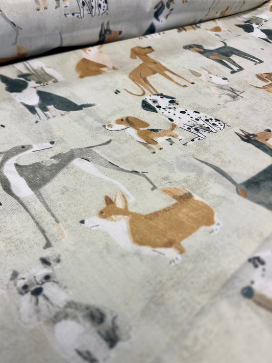 100% Kokvilnas audums - suņu banda 125 g/m²