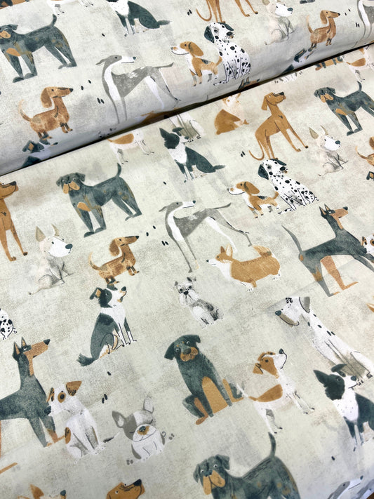 100% Kokvilnas audums - suņu banda 125 g/m²