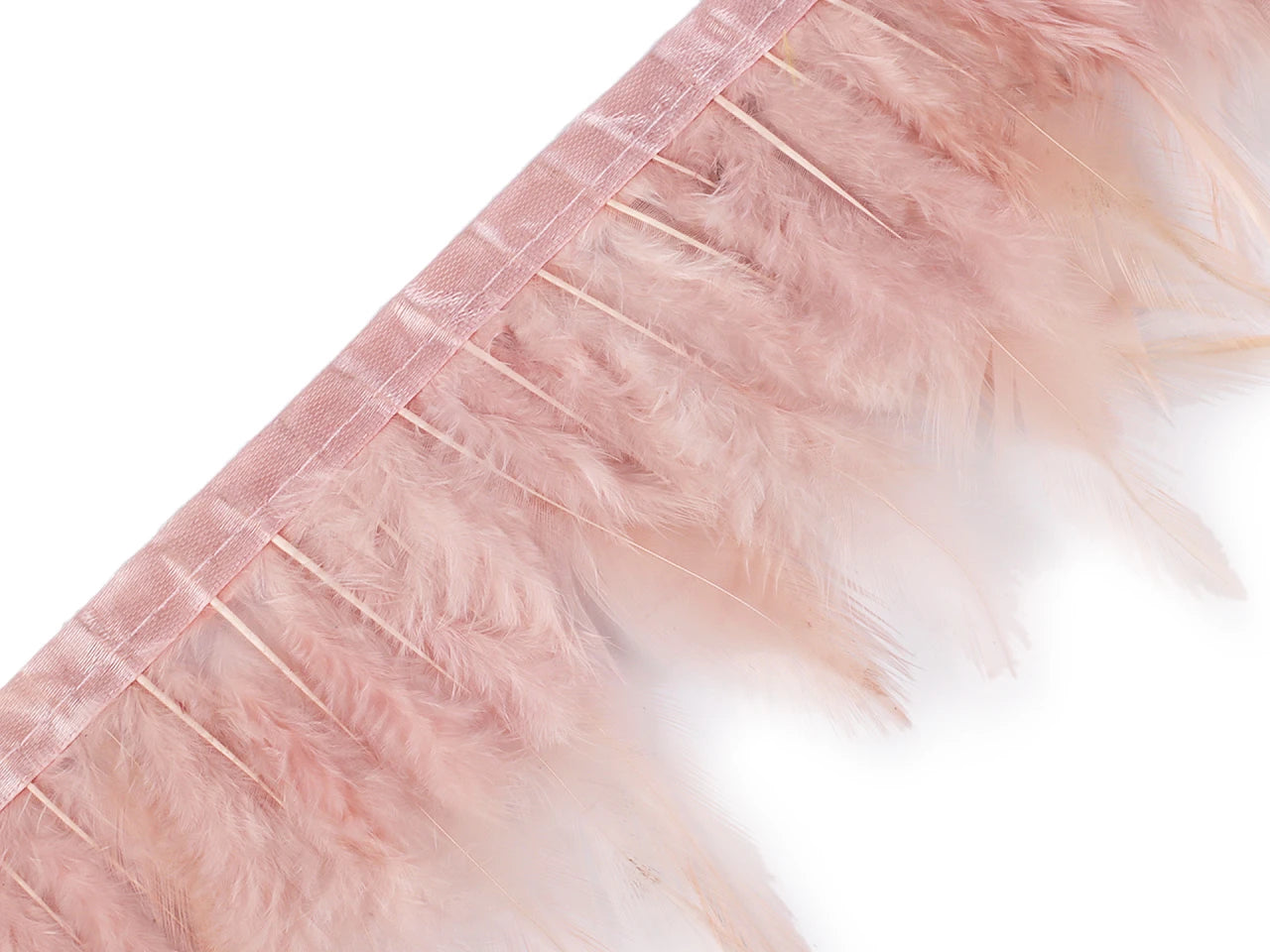 Spalvu lente (gailis) 10-12 cm plata-pūderrozā