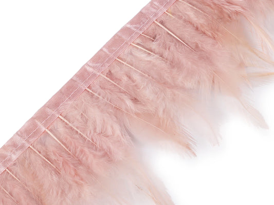 Spalvu lente (gailis) 10-12 cm plata-pūderrozā