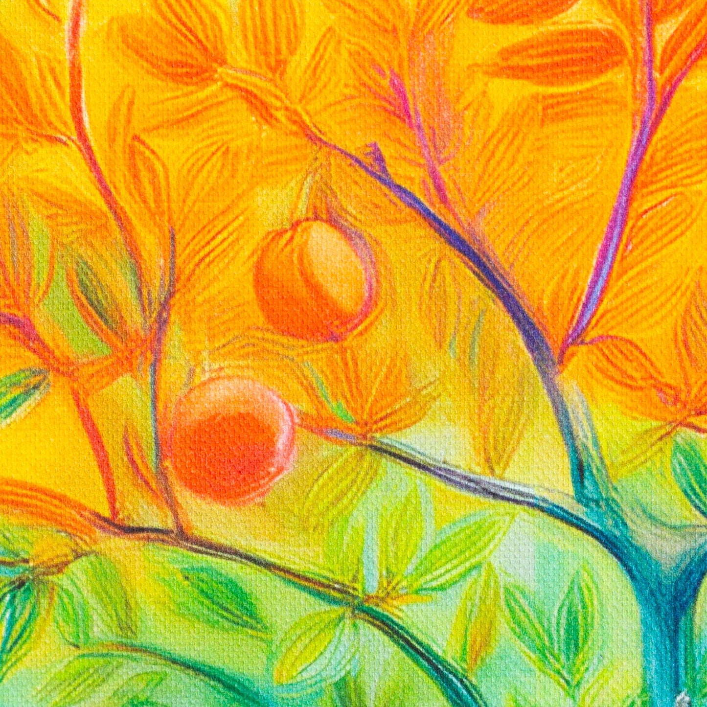 Kanvas audums - ābele 210 g/m²