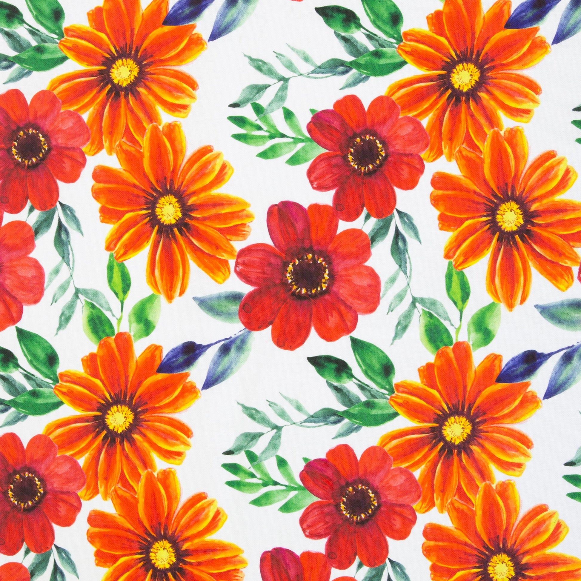 Kanvas audums - kliņģerītes 210 g/m²