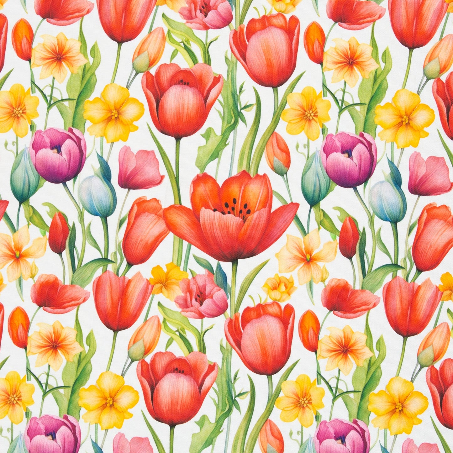 Kanvas audums - tulpes 210 g/m²