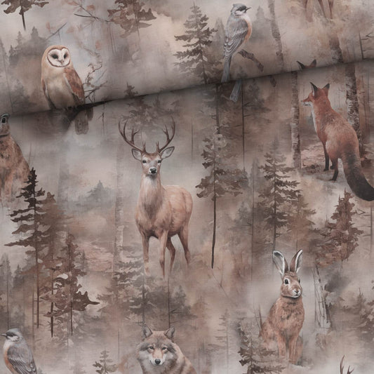 Kokvilnas cilpiÅtrikotÄža - briedis meÅ¾Ä 250 g/m²