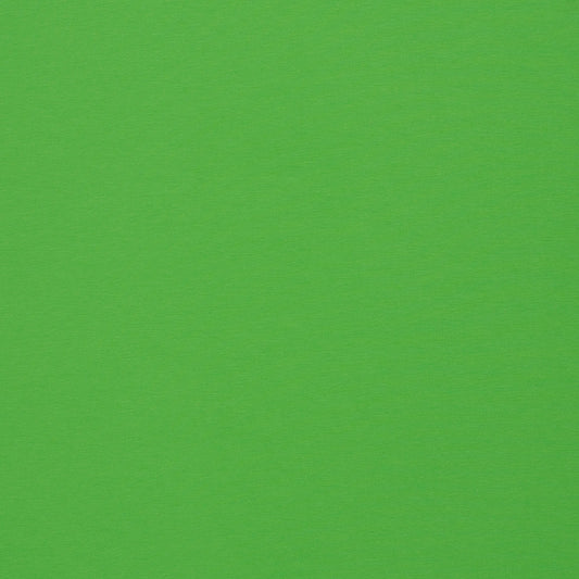 Image with cotton loopback jersey in spring green 230 g/m² – available online at Šarlotes audumi