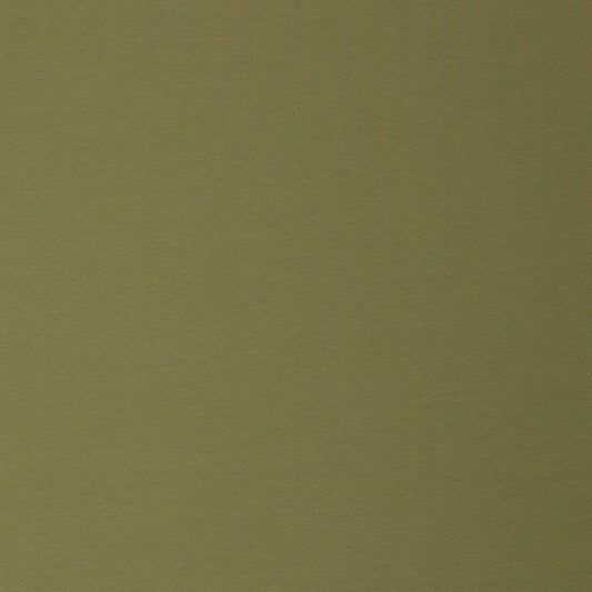Image of cotton loopback knit in pistachio green, 230 g/m² – available online at Šarlotes audumi