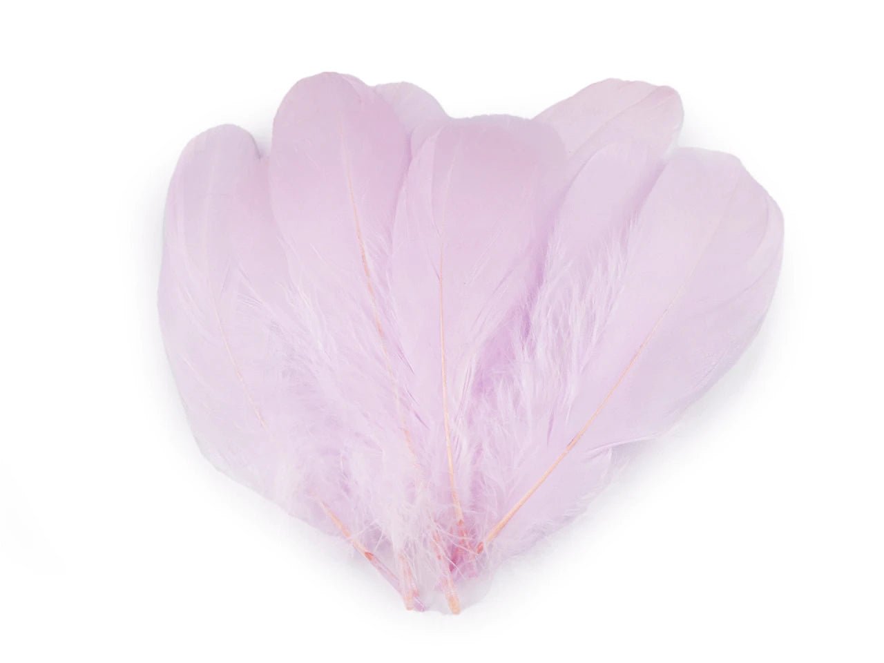 Spalvas zosu (14 - 18 cm) - gaiši lillā