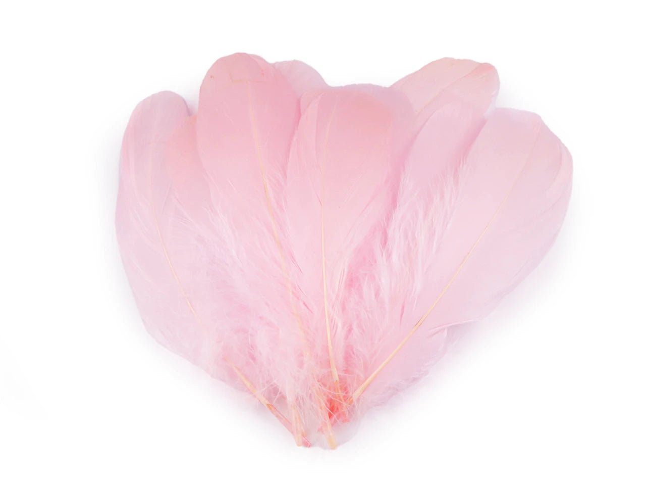 Spalvas zosu (14 - 18 cm) - maigi rozā