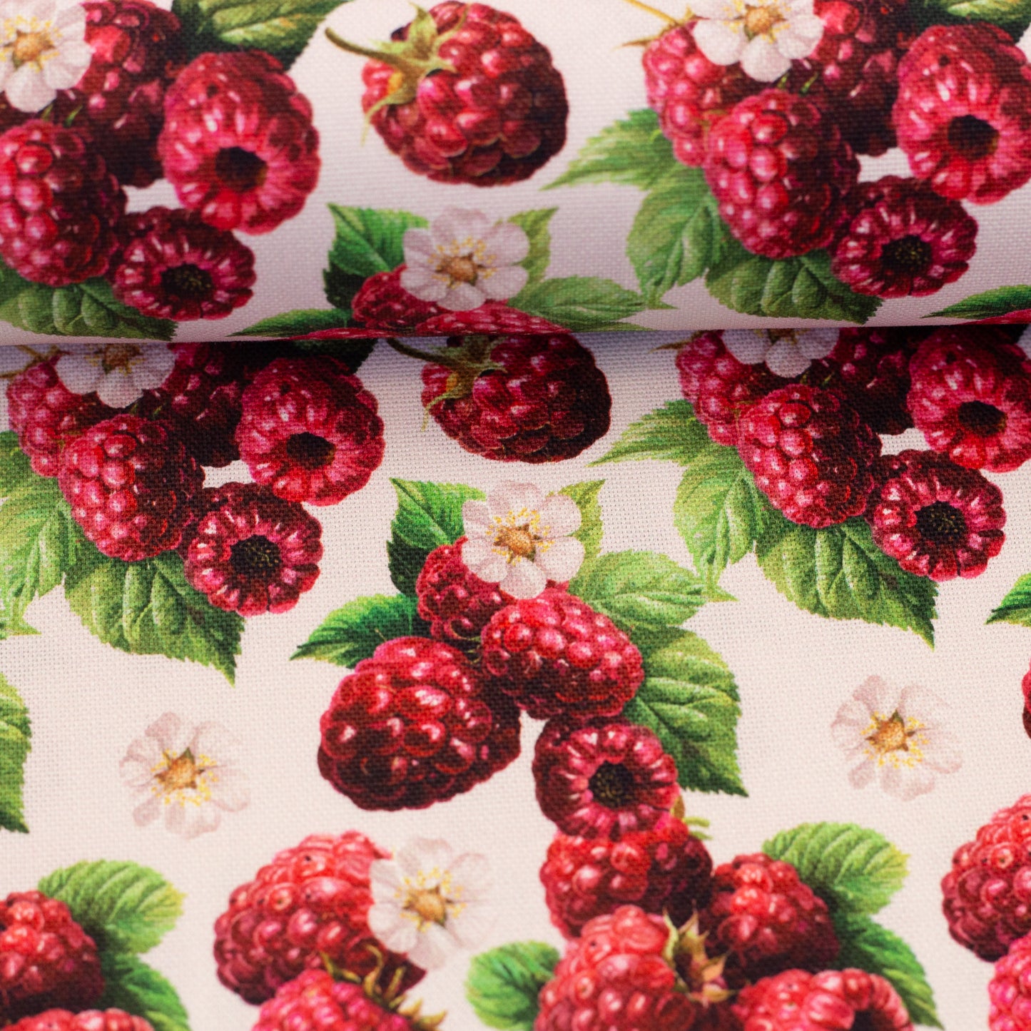 Kanvas audums-avenes 200 g/m²