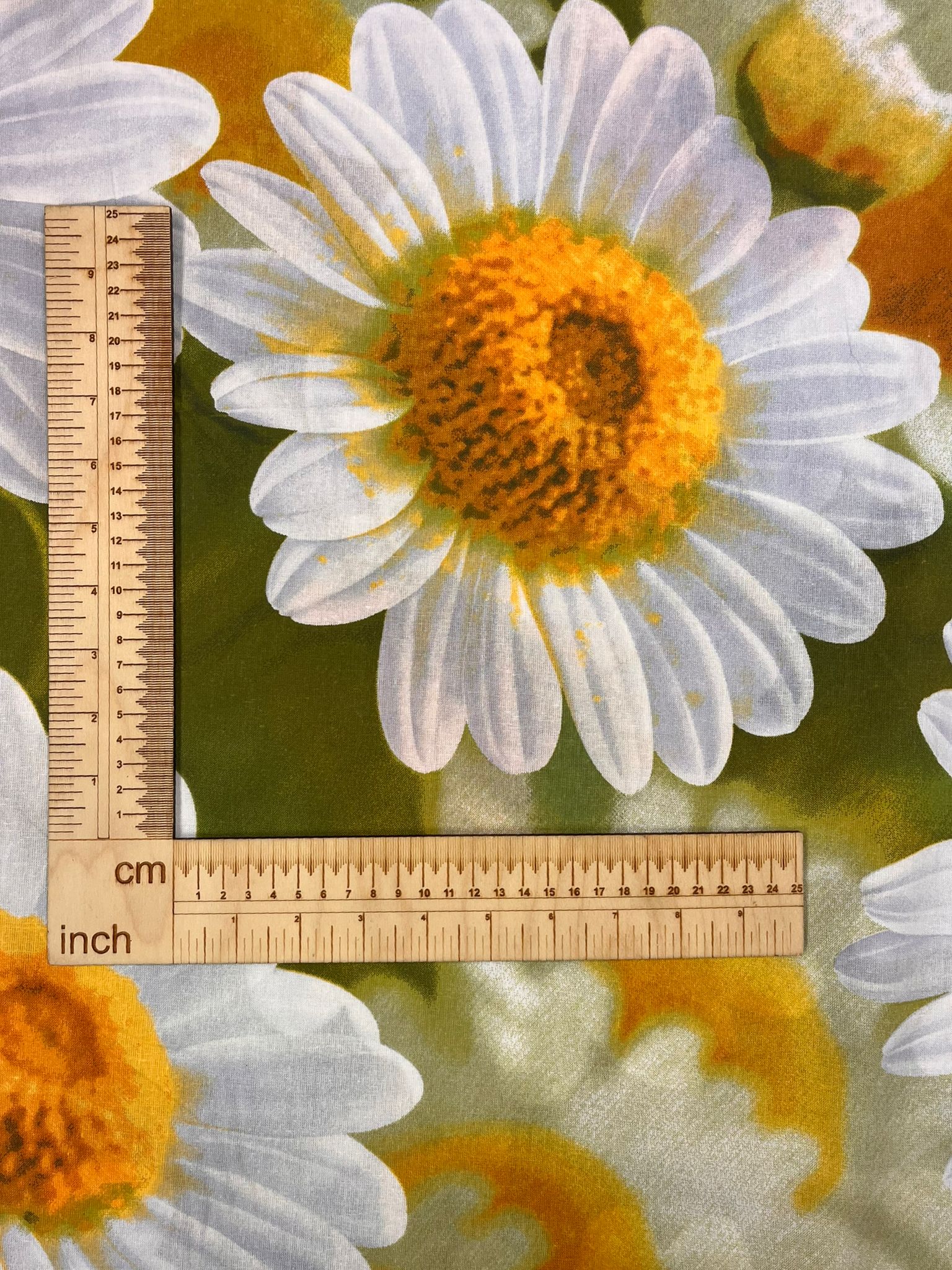 Attēls ar 100% Kokvilnas audums - lielās margrietiņas 220cm 130 g/m² – pieejams Šarlotes audumi