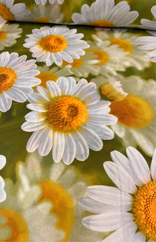 Attēls ar 100% Kokvilnas audums - lielās margrietiņas 220cm 130 g/m² – pieejams Šarlotes audumi