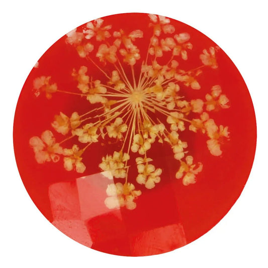 Decorative button with a real dried flower in resin, 25 mm, cream flower and red background – available online at Charlotte's Fabrics