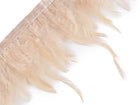 cream-colored