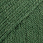 13 · dark ivy uni colour
