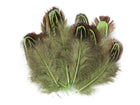 Verte