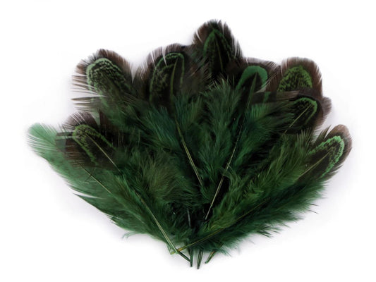Fazāna spalvas, garums 5–7 cm, tumši zaļas