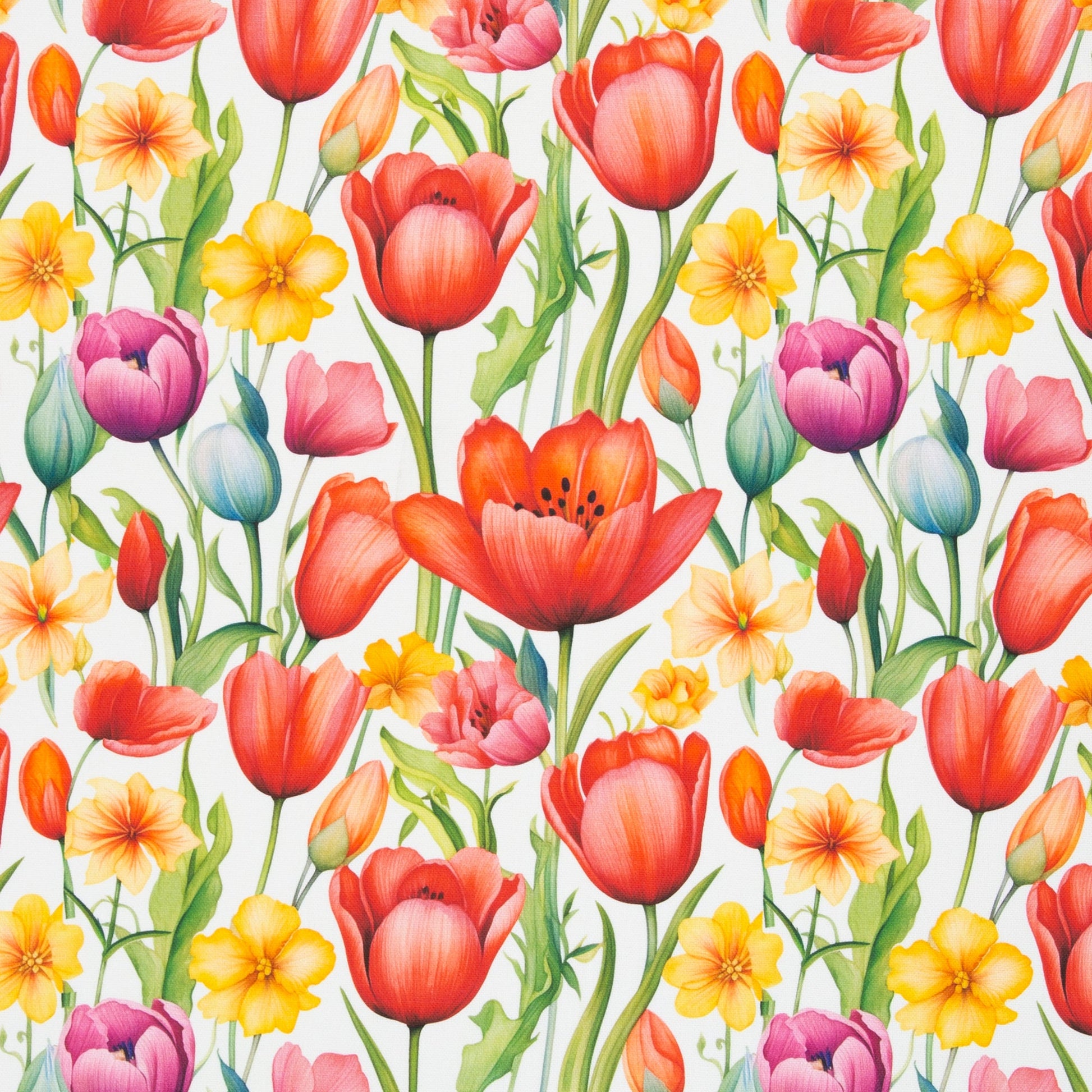 Kanvas audums - tulpes 210 g/m²
