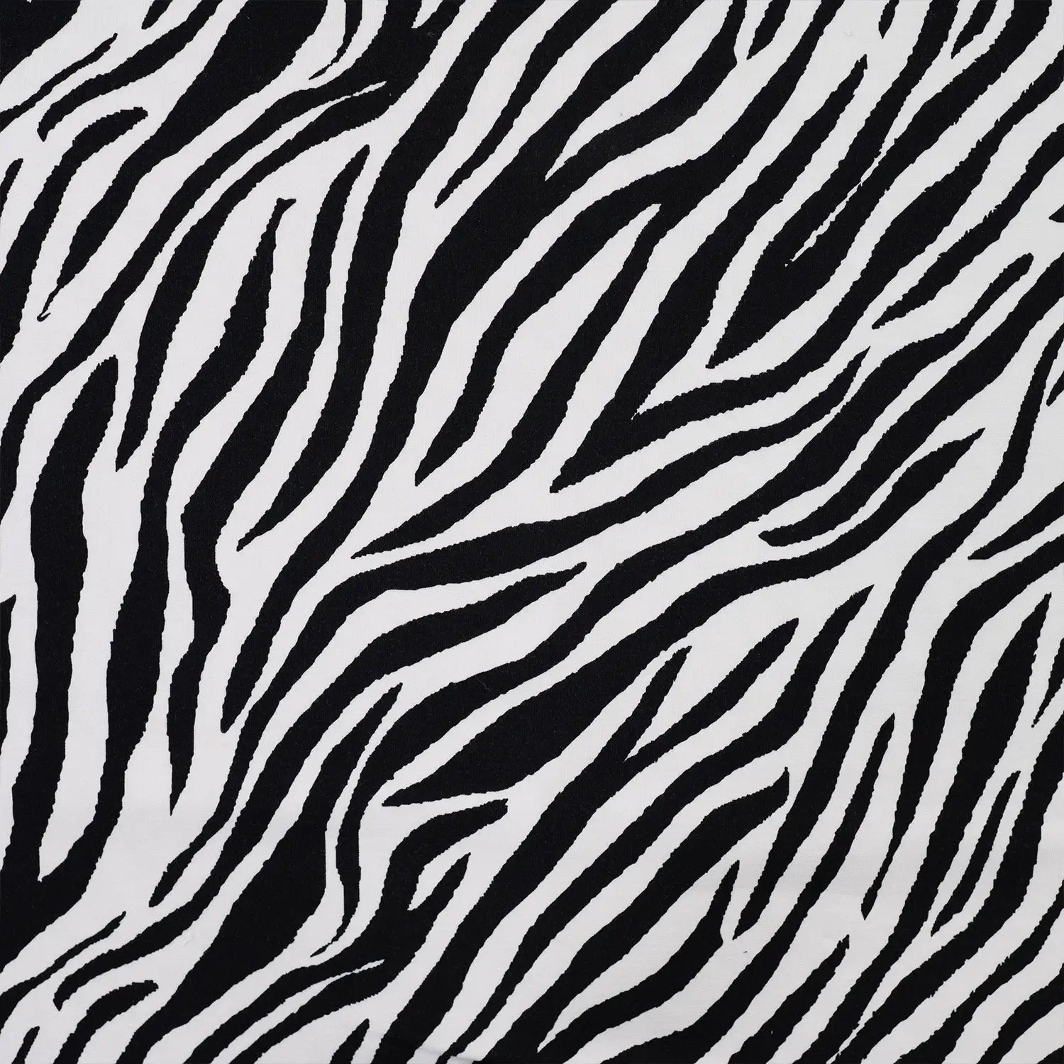 Attēls ar Kokvilnas cilpiņtrikotāža - zebra 230 g/m² – pieejams Šarlotes audumi