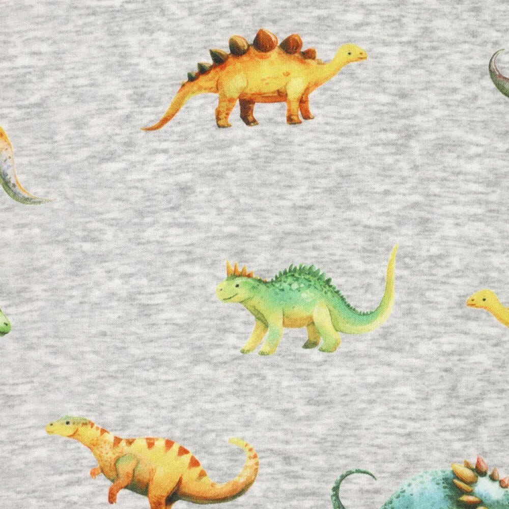 Attēls ar Kokvilnas siltināta trikotāža | Alpen fleece-dinozauri uz pelēka – pieejams internetā Šarlotes audumi