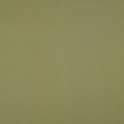 Image of Artificial silk fabric - olive 140 g/m² – available at Šarlotes audumi