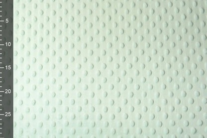 Minky polaire - menthe claire 260 g/m²