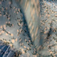 Chiffon-white flowers on a blue background | 150 cm | 65 g/m²