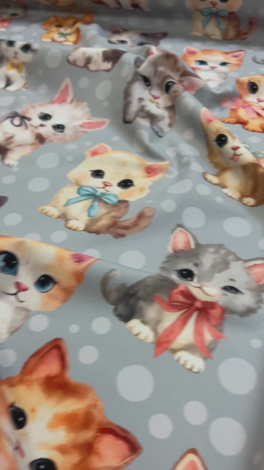 Softshell audums-kaķi 300 g/m²