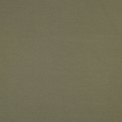 Jersey de coton côtelé (RIB JERSEY) - vert olive 240 g/m²