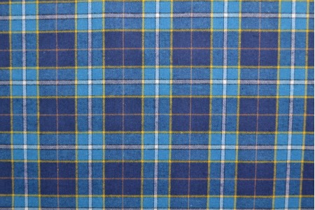 Blue tartan flannel