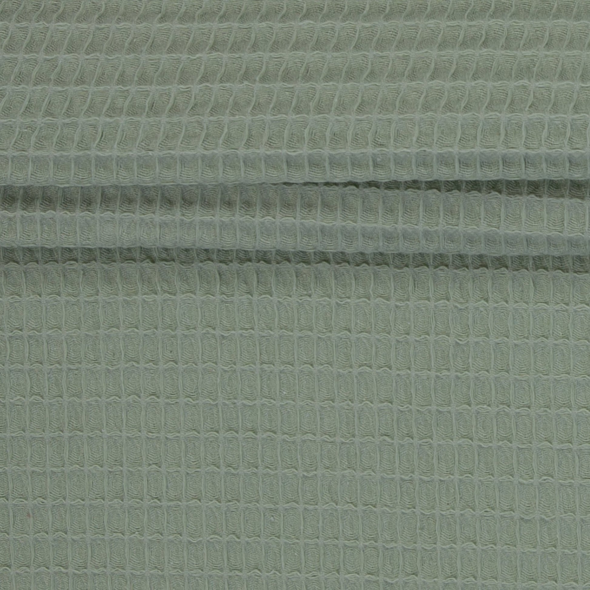 Attēls ar Vafeļaudums - pelēcīgi zaļš 230 g/m² – pieejams Šarlotes audumi
